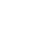 Next.js icon